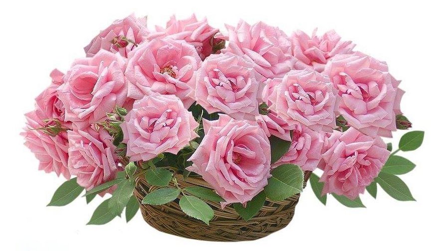 №774563 - оригинал