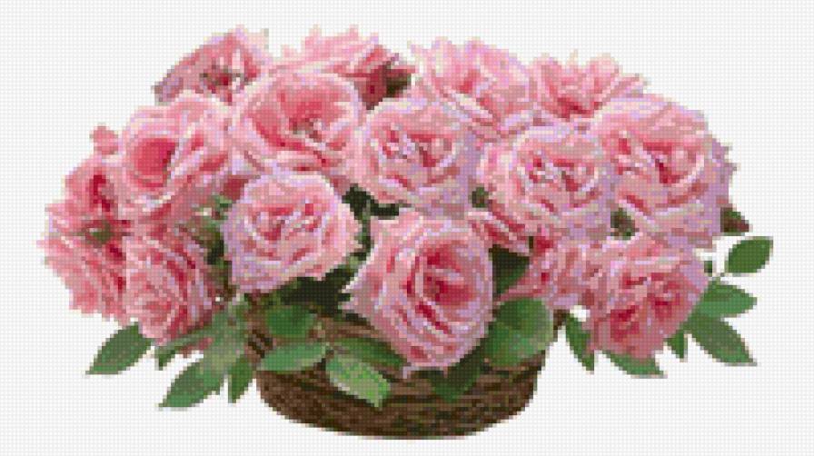 №774563 - предпросмотр