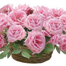 Схема вышивки «№774563»