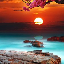 Схема вышивки «№774564»