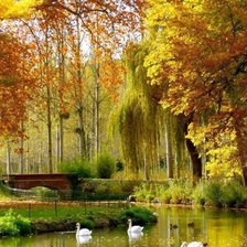 Схема вышивки «№774568»