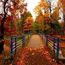 Схема вышивки «№774570»