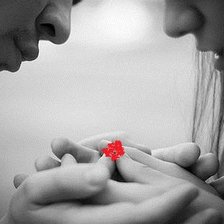 Схема вышивки «Пара»