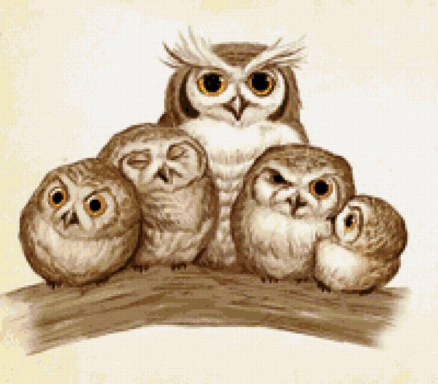 совки - совы - предпросмотр