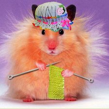 Схема вышивки «хомчик2»