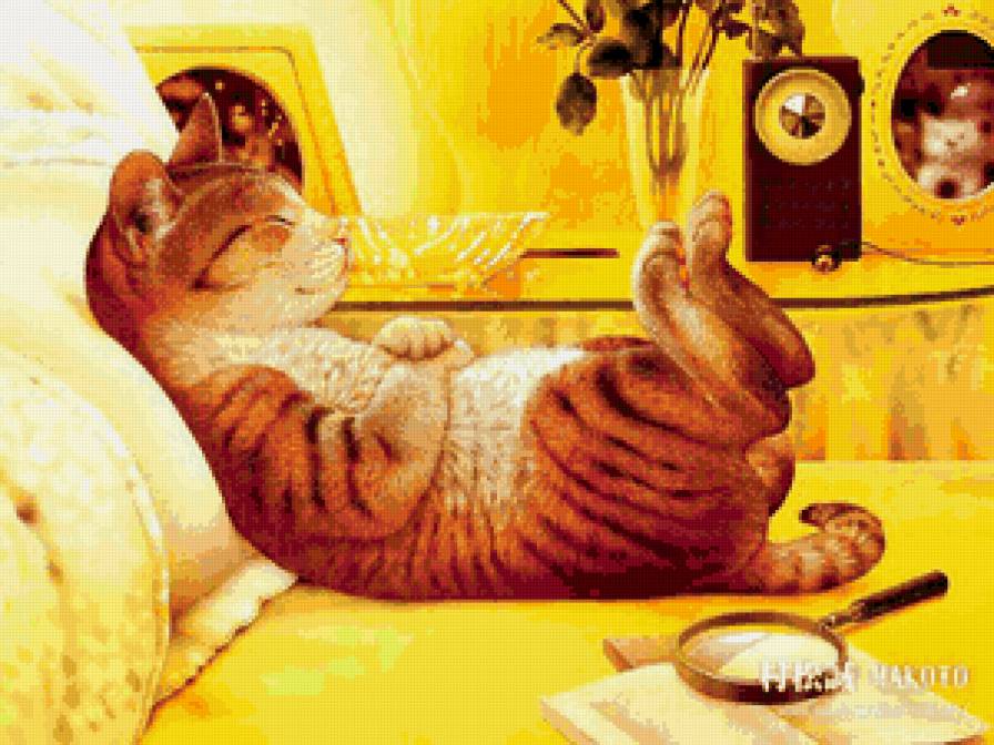 котэ - предпросмотр