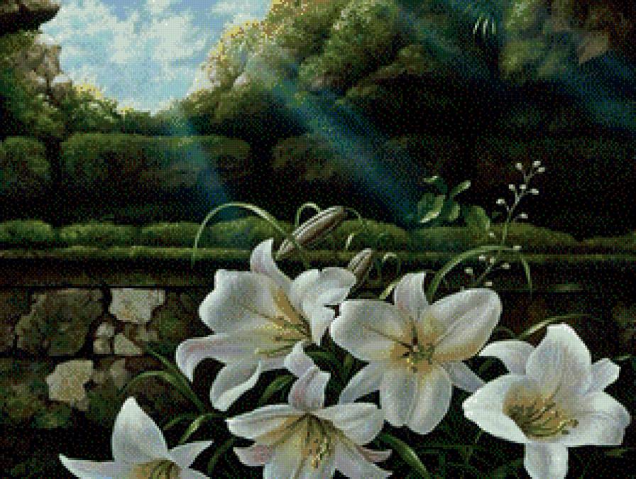 Лилии - цветы, природа, лилии - предпросмотр