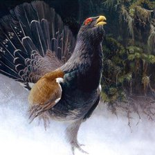 Схема вышивки «№774857»