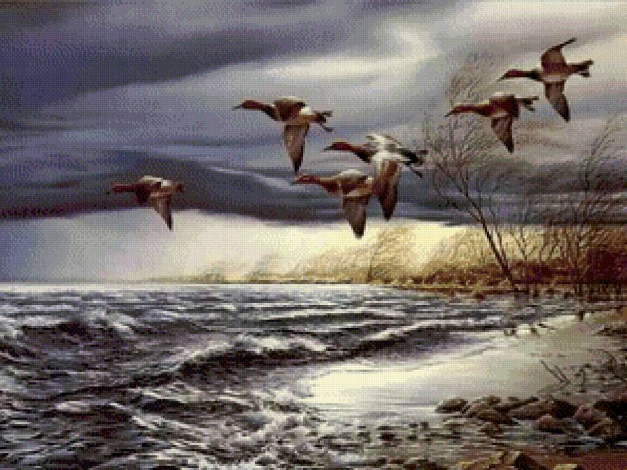 Перелет - природа, полет, утки, птицы - предпросмотр