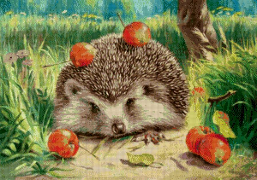 Ёжик - яблоки, еж, ежик, поляна - предпросмотр