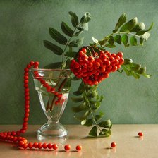 Схема вышивки «рябиновые бусы»