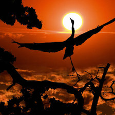 Схема вышивки «журавль»