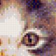 Предпросмотр схемы вышивки «Милый котик» (№775457)