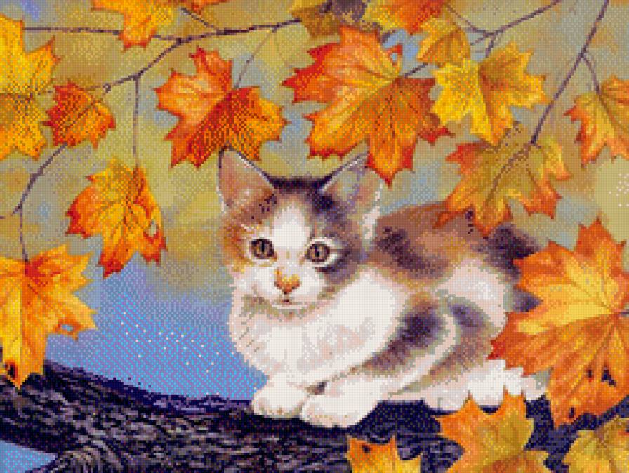 Милый котик - кошки, животные - предпросмотр