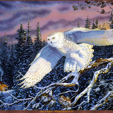 Схема вышивки «Полет хищника»