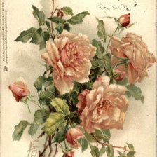 Схема вышивки «№775533»