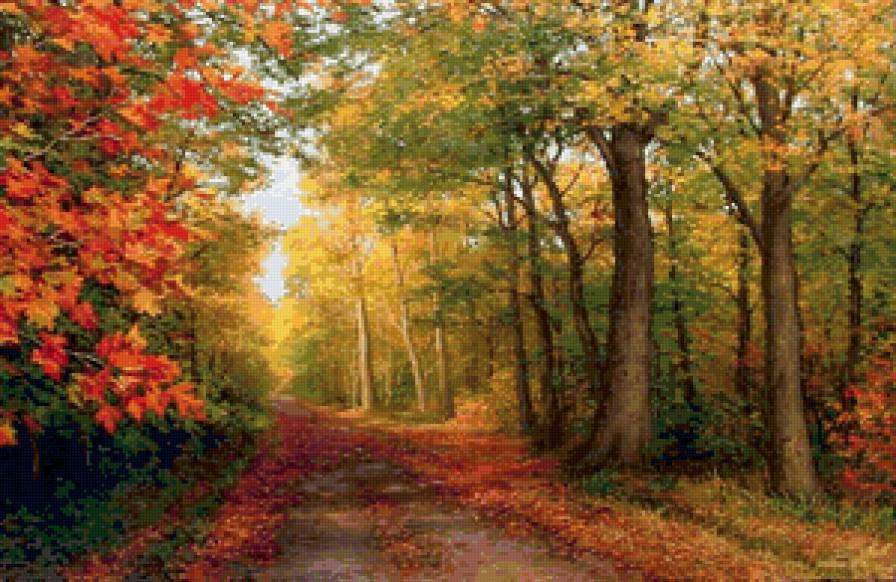 Осеннее настроение - тропинка, лес, деревья, осень - предпросмотр