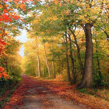 Схема вышивки «Осеннее настроение»