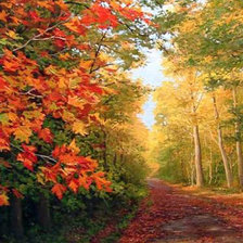 Схема вышивки «Осеннее настроение. Часть 1.»