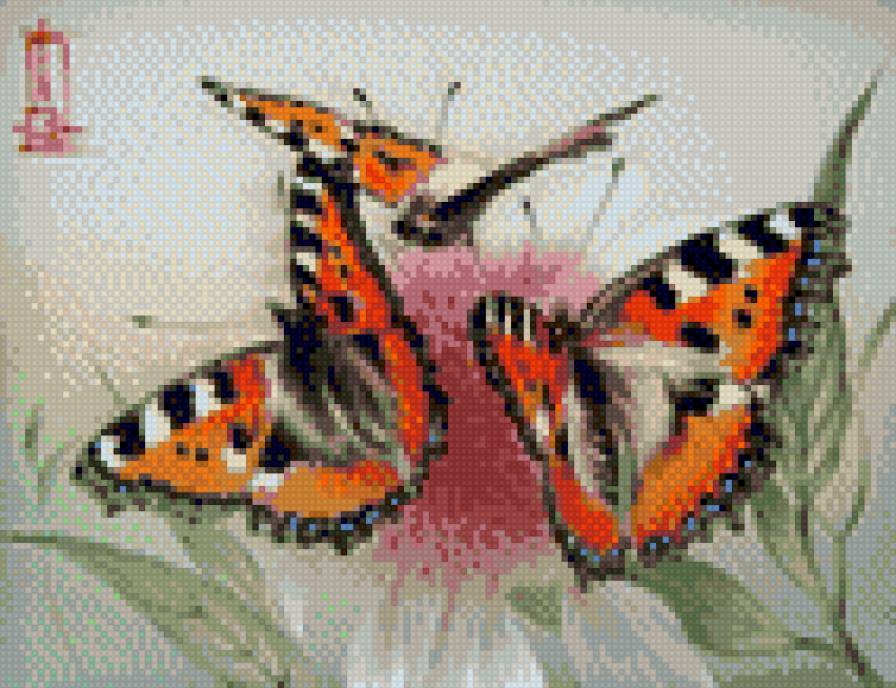 метеликі - предпросмотр