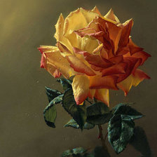 Схема вышивки «королева цветов»