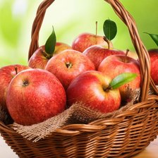 Схема вышивки «корзина с яблоками»