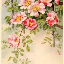 Схема вышивки «№776047»