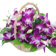 Схема вышивки «№776053»