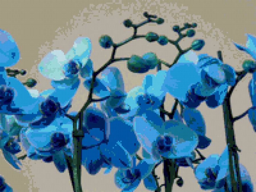 №776057 - предпросмотр