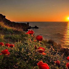 Схема вышивки «№776067»