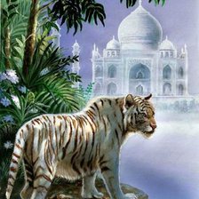 Схема вышивки «Снежный тигр»