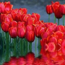 Схема вышивки «№776130»