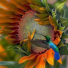 Схема вышивки «№776131»