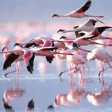 Схема вышивки «№776162»