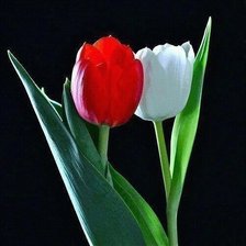 Схема вышивки «№776178»