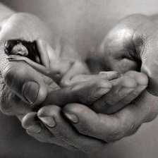 Схема вышивки «Нежность»