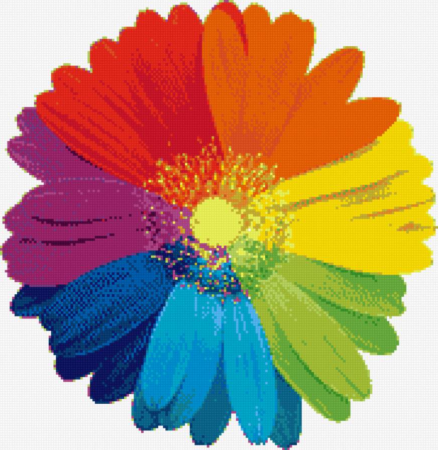 семицветик - разноцветный, цветок, красиво - предпросмотр