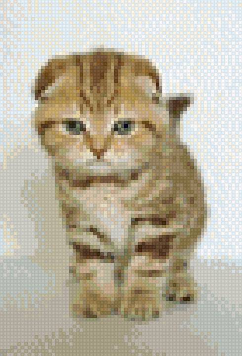 котенок - предпросмотр