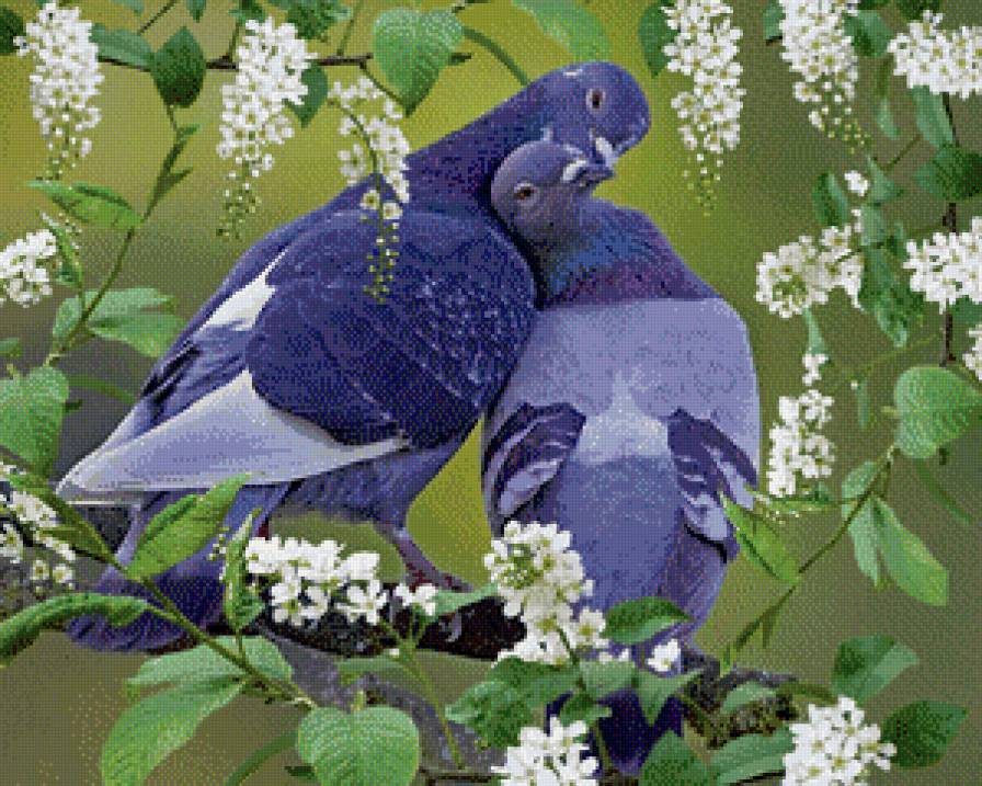 Это любовь - предпросмотр