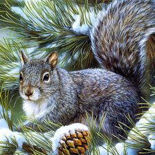 Схема вышивки «белка»