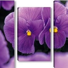 Схема вышивки «триптих анютины глазки»