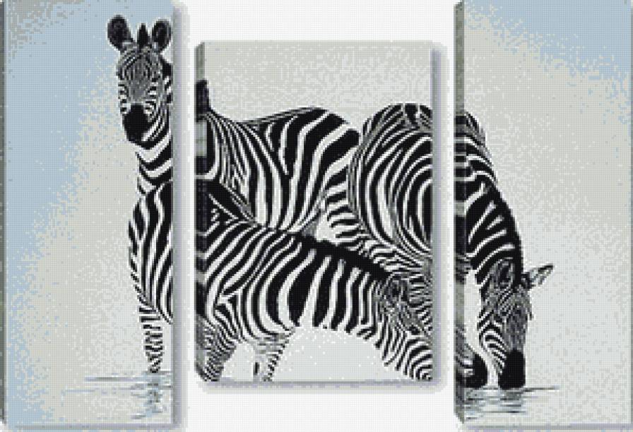 триптих зебры - предпросмотр