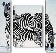 Схема вышивки «триптих зебры»