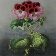 Схема вышивки «№777107»