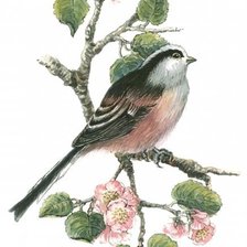 Схема вышивки «№777118»