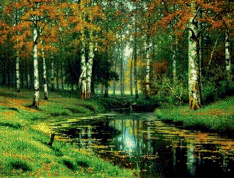 березовая роща - береза, березы, река, природа, лес, речка - предпросмотр