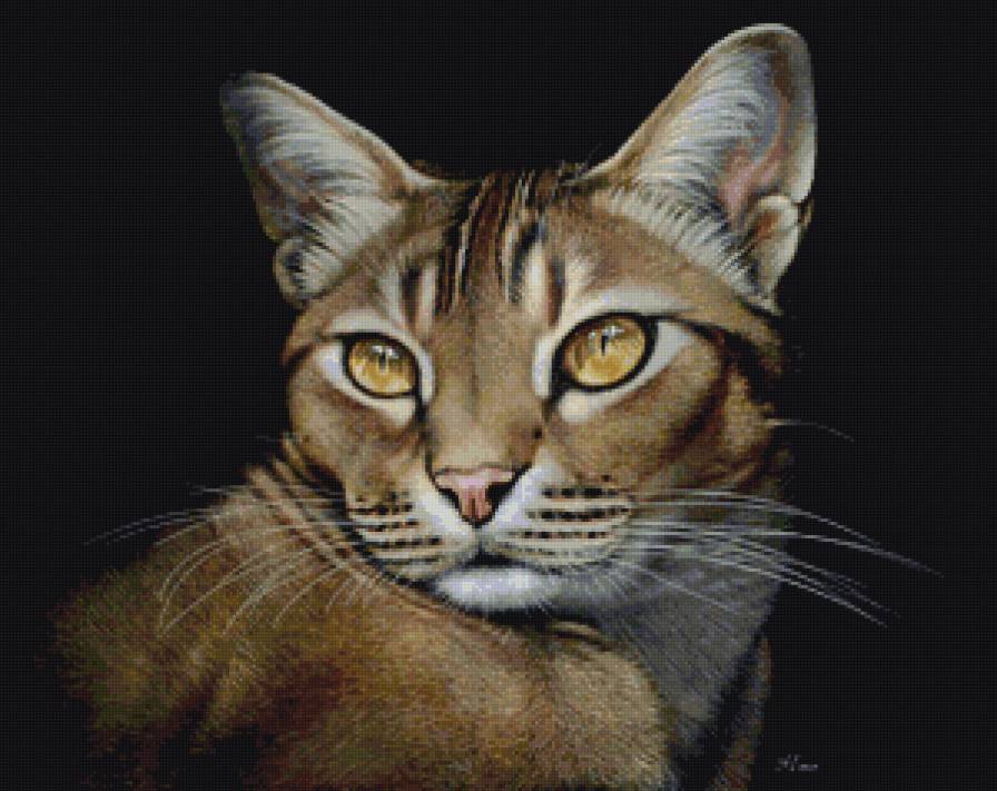 кошачий портрет - портрет, котики, кот, коты - предпросмотр