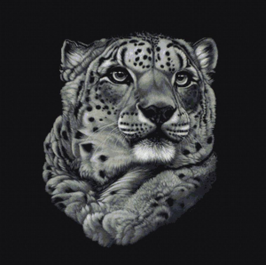 портрет леопарда - животные, портрет - предпросмотр