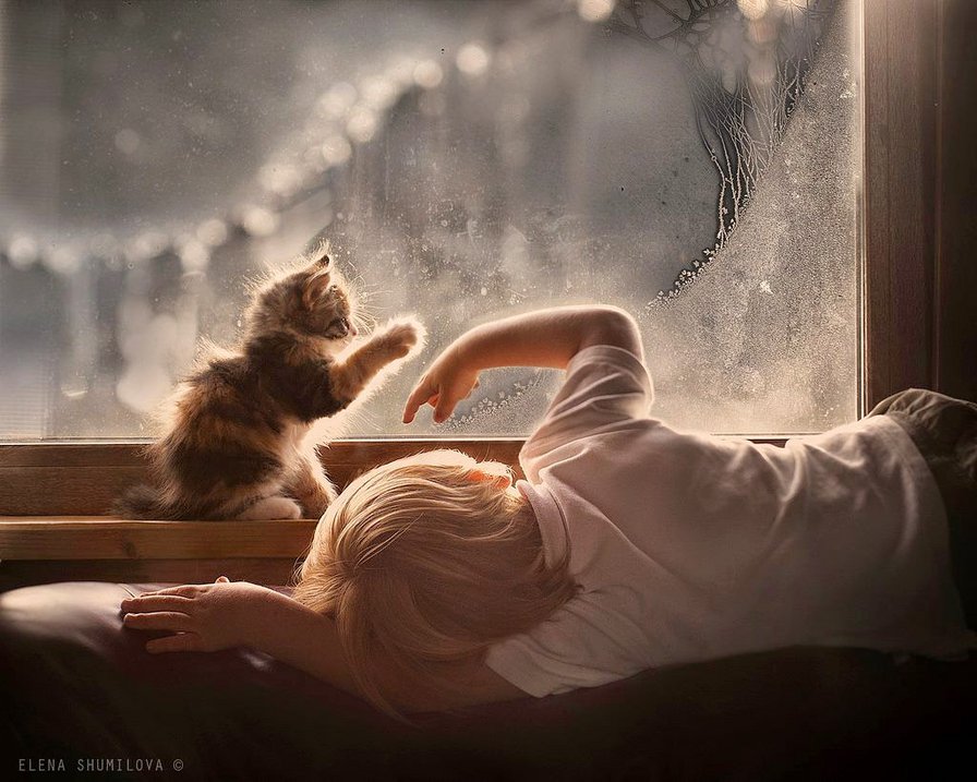 Я рисую на окне - мальчик, ребенок, маленькие, котенок, окно - оригинал