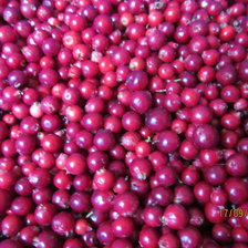 Схема вышивки «брусника»